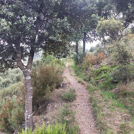 Almiruete Las Peonias Casa Rural מראה חיצוני תמונה
