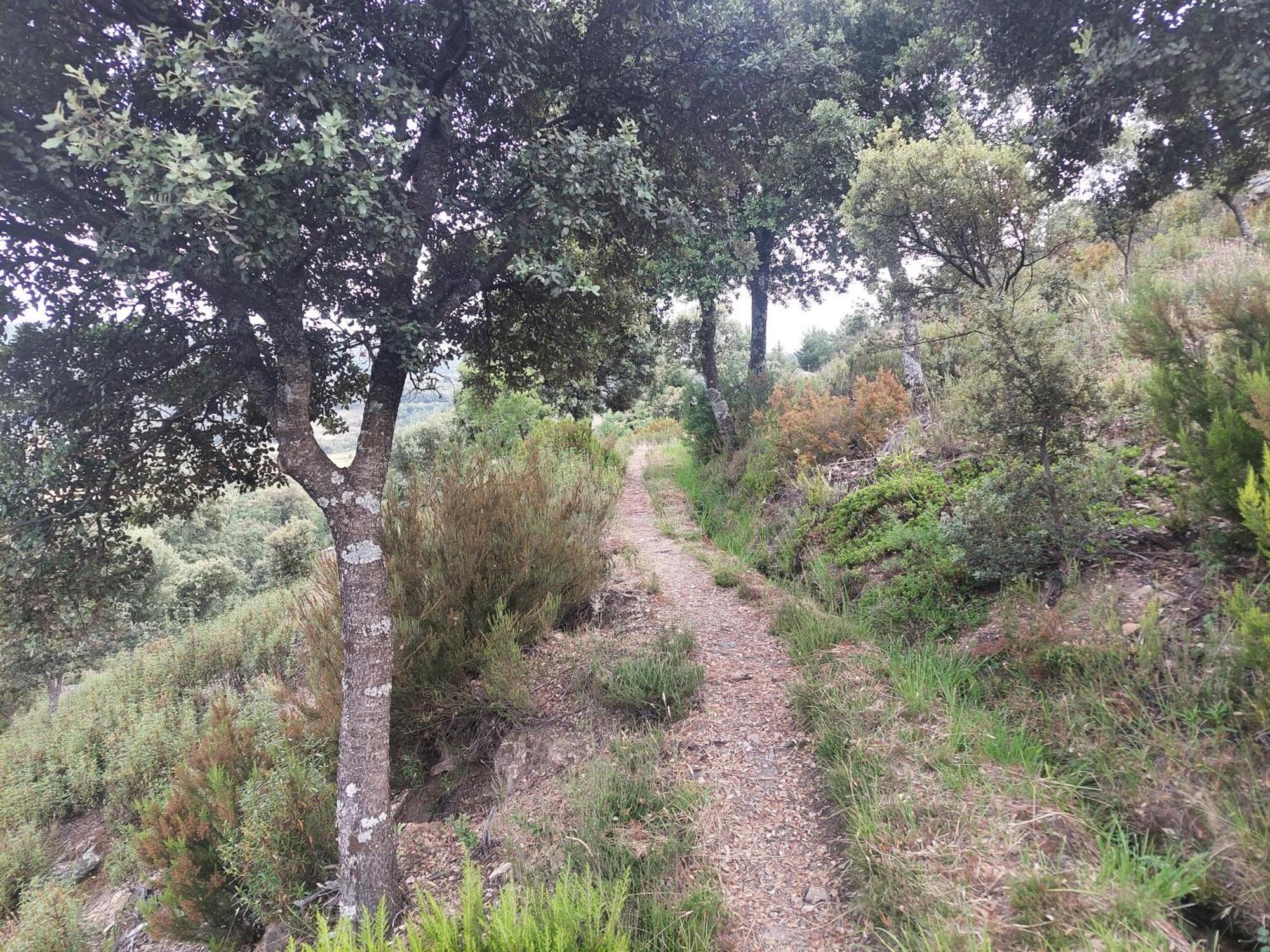 Almiruete Las Peonias Casa Rural מראה חיצוני תמונה
